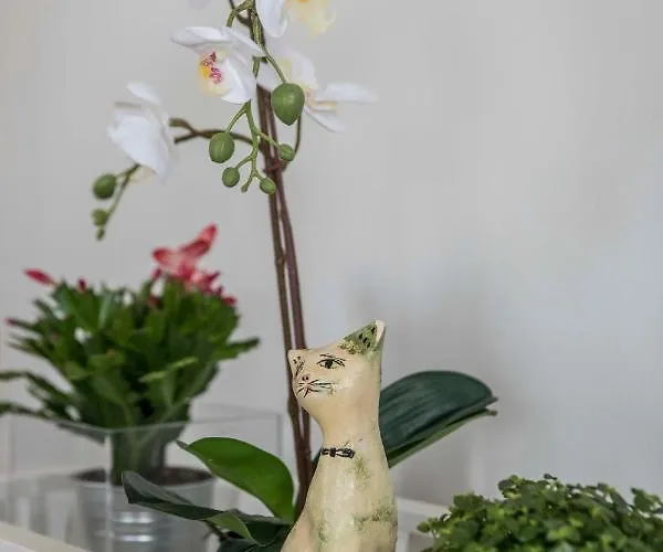 Apartmán Panorama - - - Bezplatny Parking